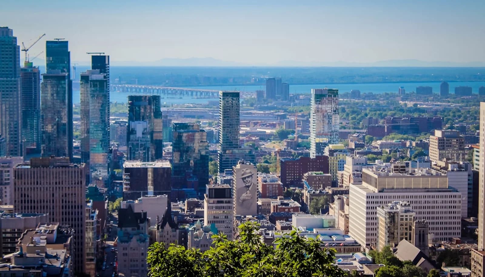 Cover Image for Canadian Dollar Rebounds After Strong Jobs Report