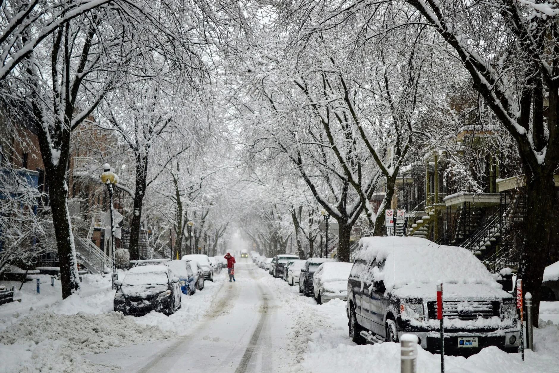Cover Image for The first snow in Montreal and Quebec