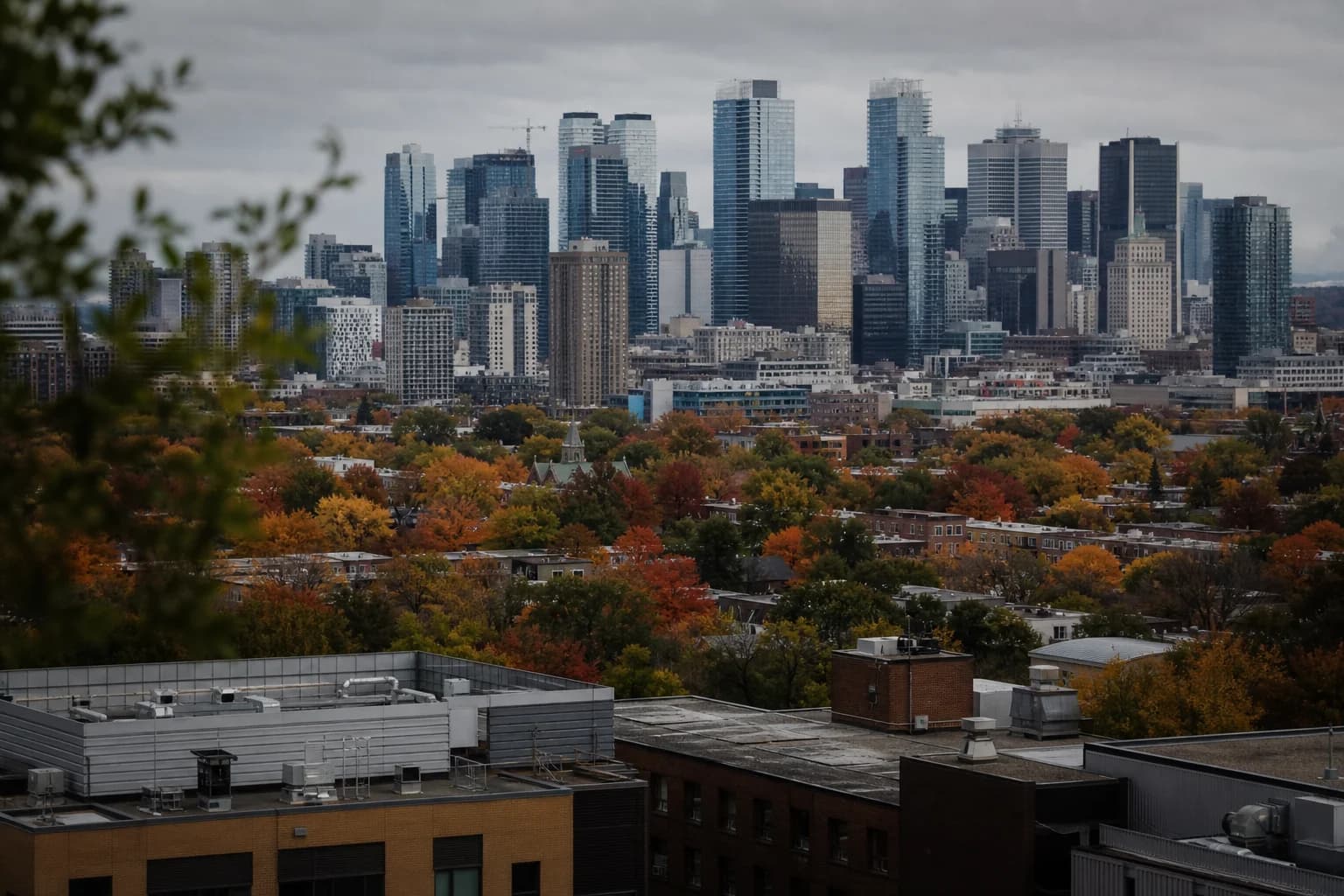 Cover Image for Clerk AI Montreal Expansion: Montréal Hub Opens