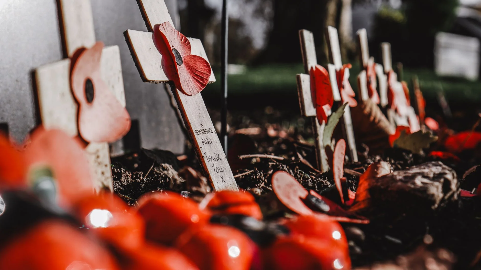 Cover Image for Canada readies itself for the veteran's day — Montral Times