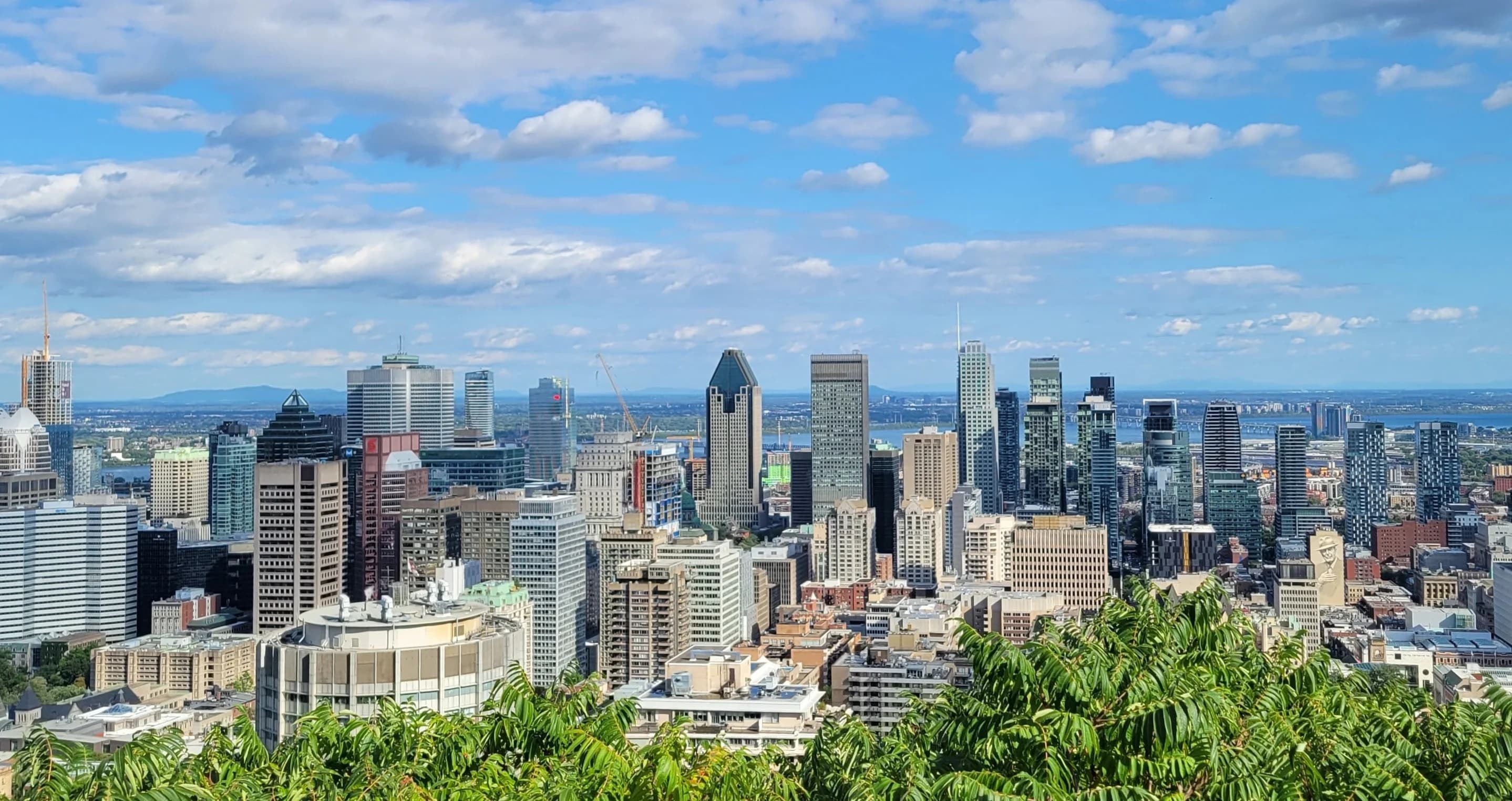 Cover Image for The status of French in Canada. Montreal's Language Landscape