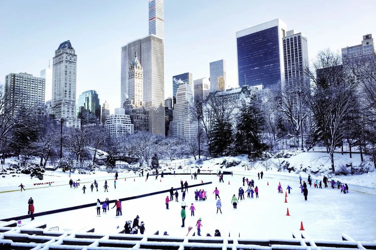 Cover Image for The first snow in Montreal and Quebec
