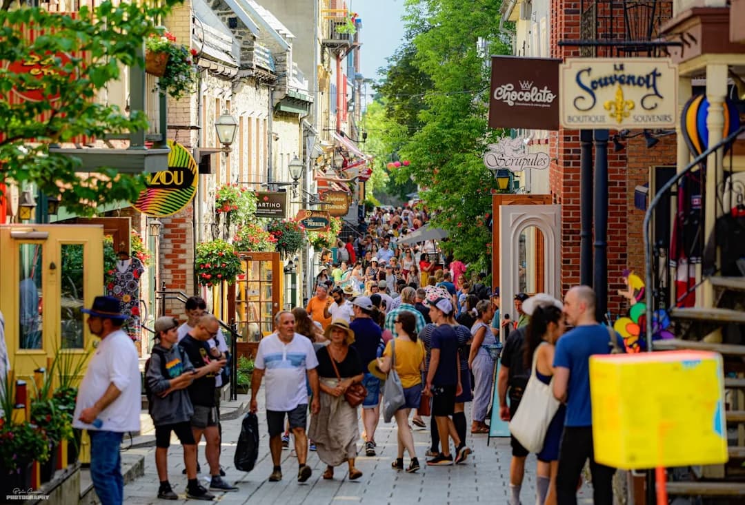 Cover Image for Tourisme Montréal 2026 Summer Season: News & Trends